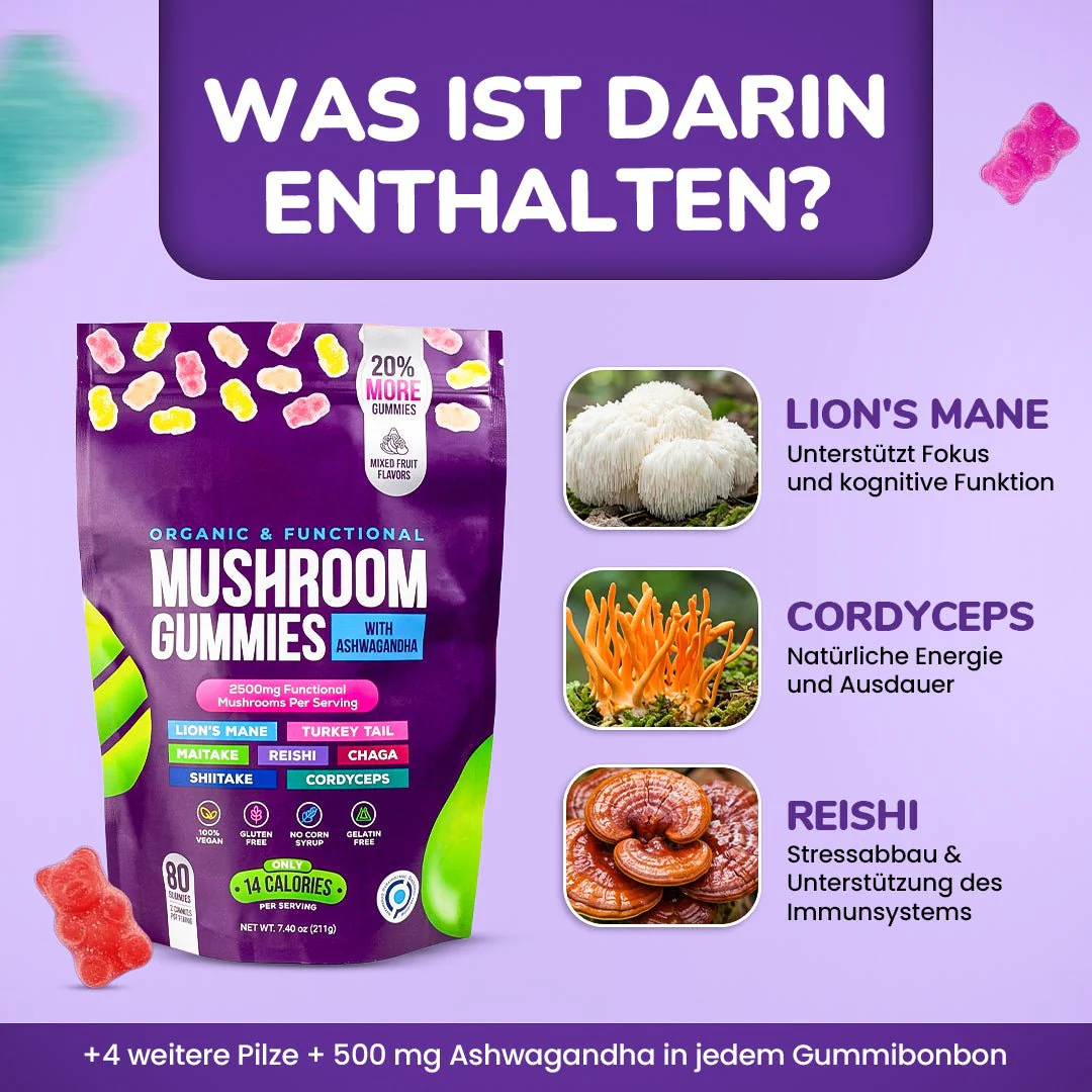 Focus & Calm Mushroom Gummies – 2500mg mit Lion’s Mane & Ashwagandha (80 pcs) - Image 5